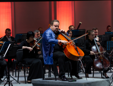 Посмотреть крупнее